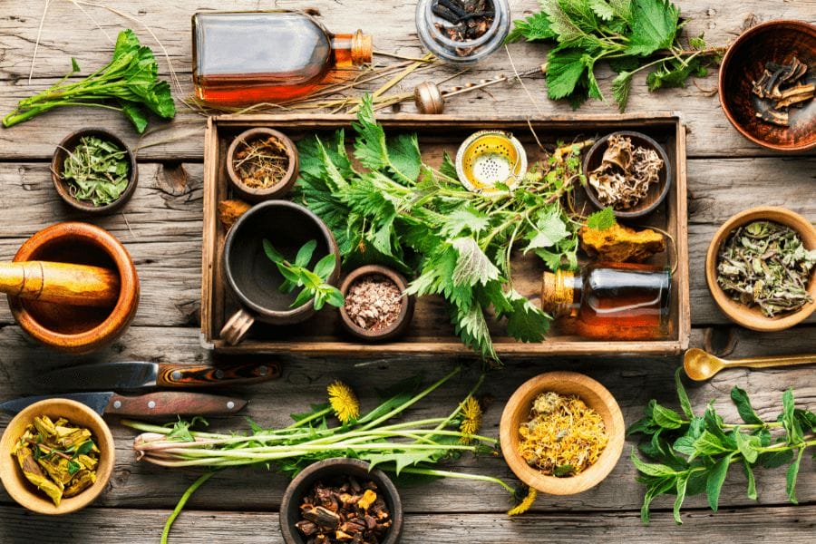 Plant Remedies